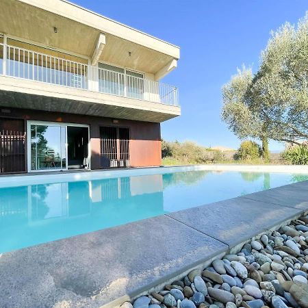 Villa Des Cathares Carcassonne Ngoại thất bức ảnh