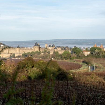 Villa Des Cathares Carcassonne Ngoại thất bức ảnh