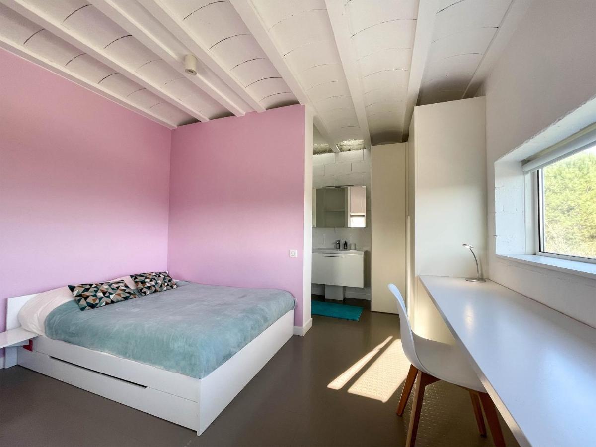Villa Des Cathares Carcassonne Ngoại thất bức ảnh
