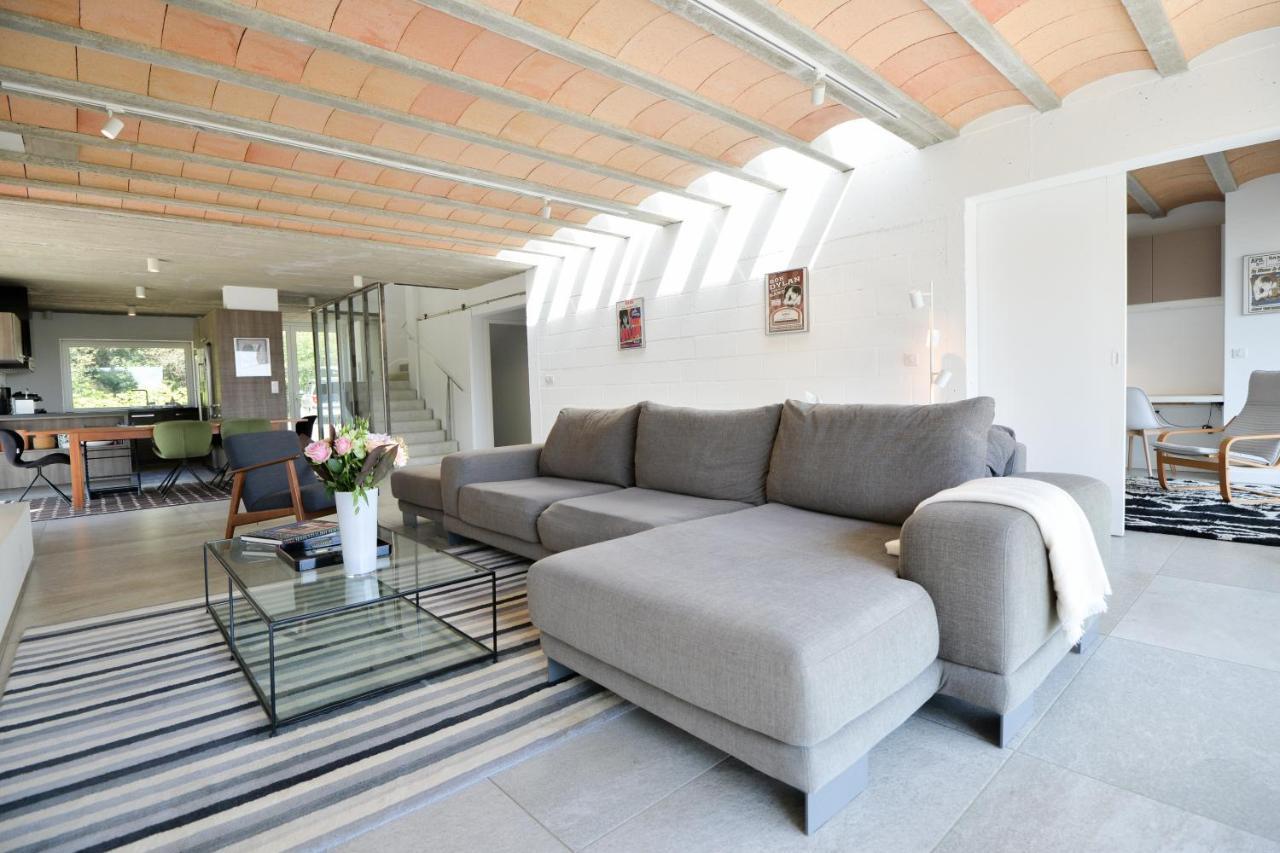 Villa Des Cathares Carcassonne Ngoại thất bức ảnh