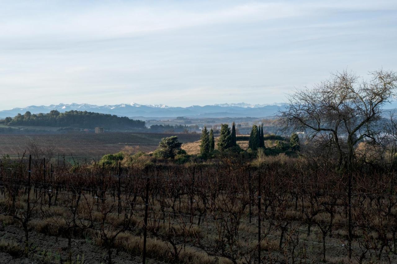 Villa Des Cathares Carcassonne Ngoại thất bức ảnh